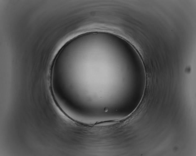 X0000102541531200808081509