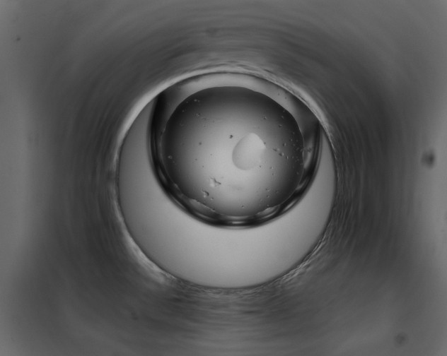 X0000102541532200808081509
