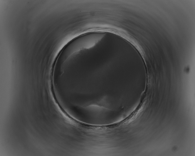 X0000102541533200808081509
