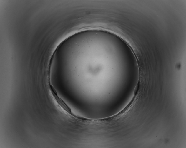 X0000102541534200808081509