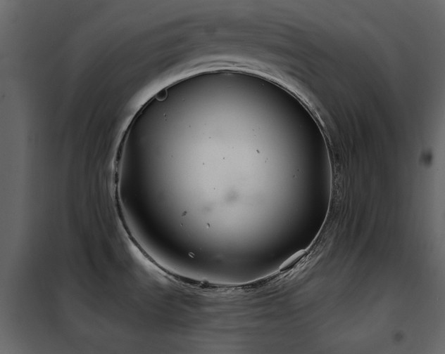 X0000102541535200808081509