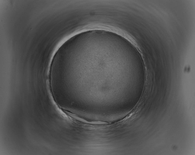 X0000102541536200808081509