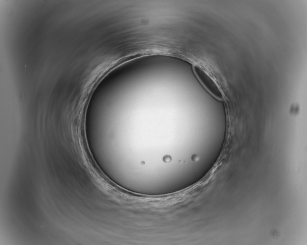 X0000102540001200808151653