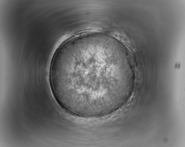 X0000102540003200808151653