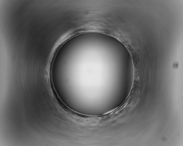 X0000102540004200808151653