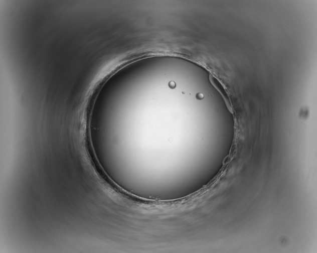 X0000102540005200808151653