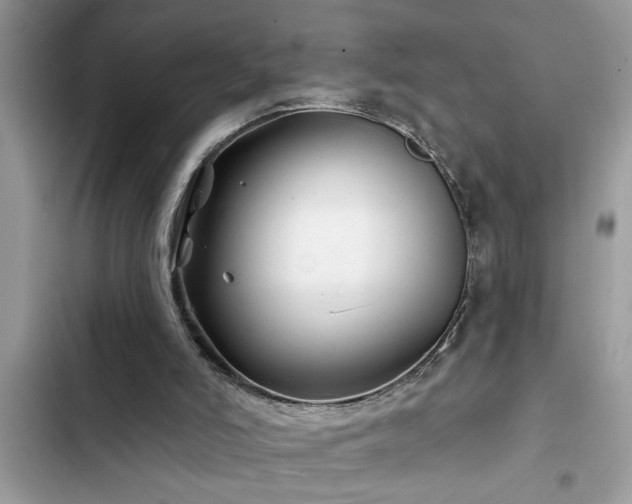 X0000102540006200808151653