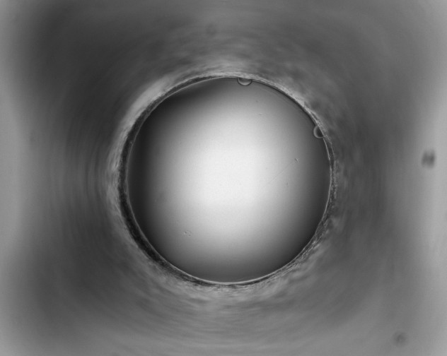 X0000102540007200808151653