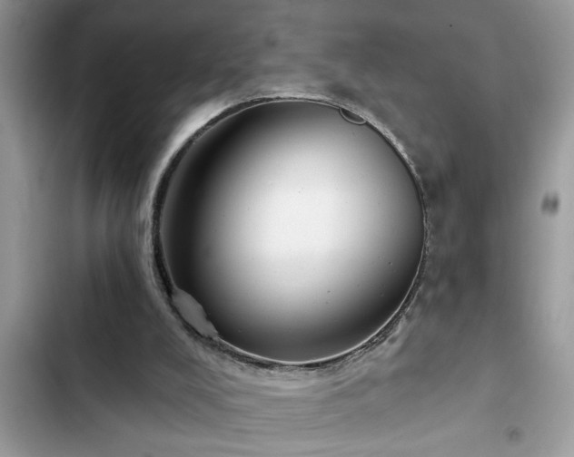 X0000102540008200808151653