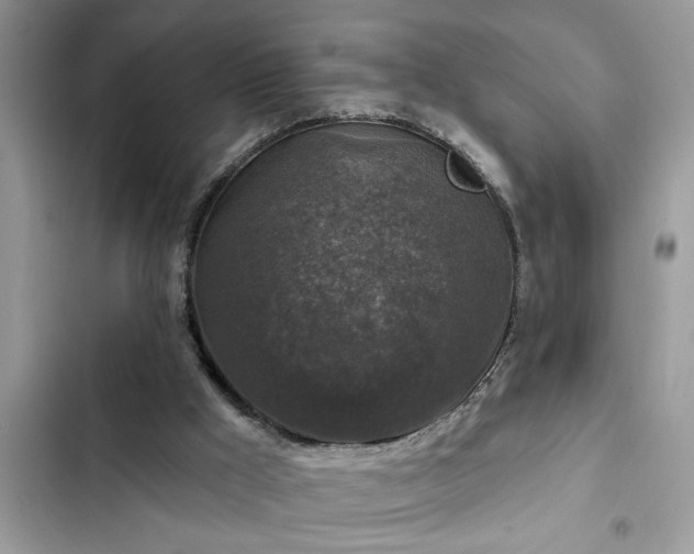 X0000102540009200808151653