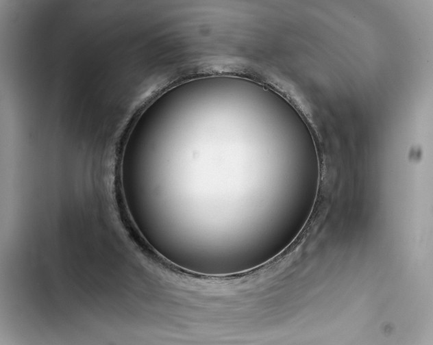 X0000102540010200808151653