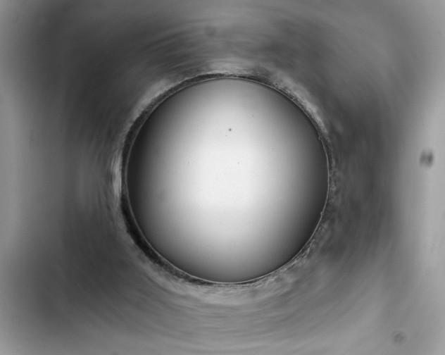 X0000102540011200808151653