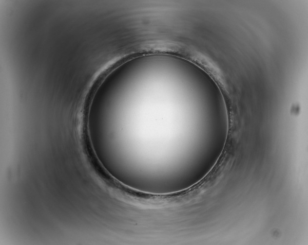 X0000102540012200808151653