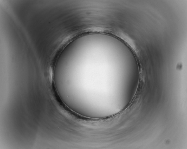 X0000102540013200808151653