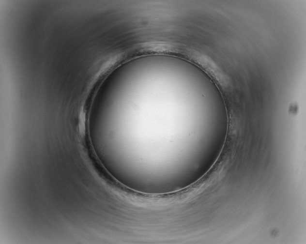 X0000102540014200808151653