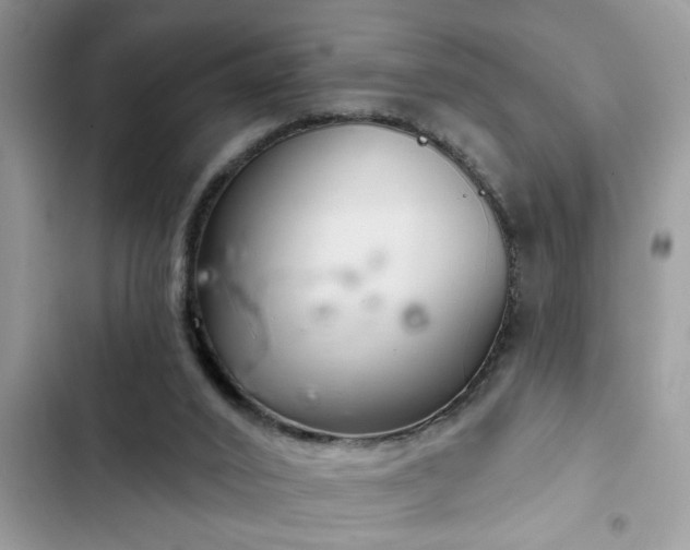 X0000102540016200808151653