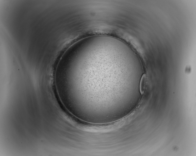 X0000102540017200808151653