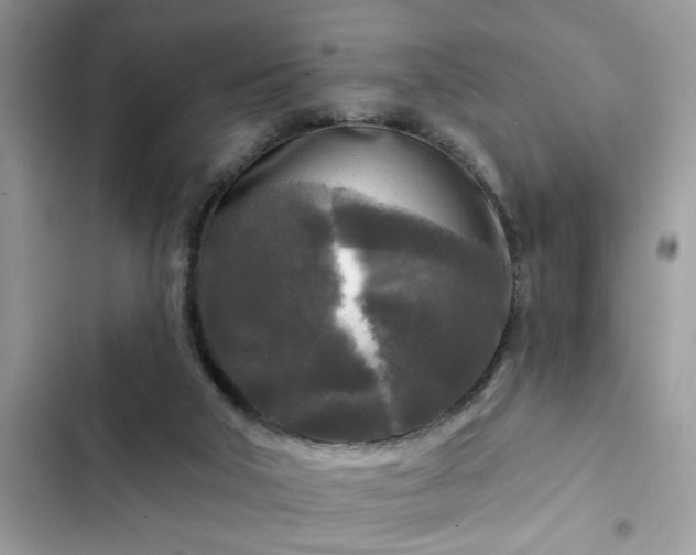 X0000102540018200808151653