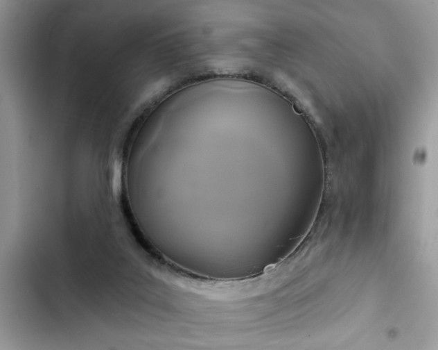 X0000102540019200808151653