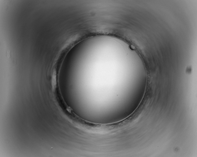 X0000102540020200808151653