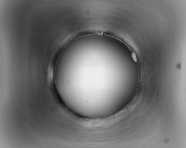 X0000102540021200808151653