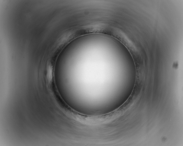 X0000102540022200808151653