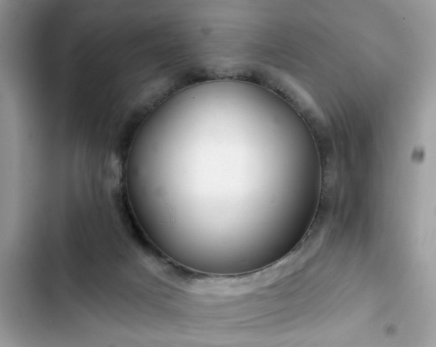 X0000102540025200808151653