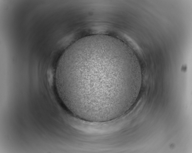 X0000102540026200808151653