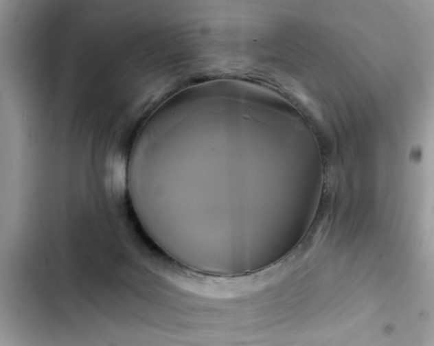 X0000102540027200808151653