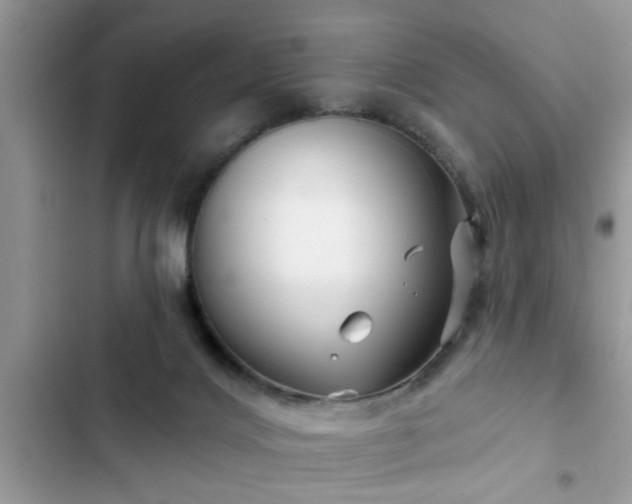 X0000102540028200808151653