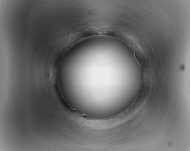X0000102540030200808151653