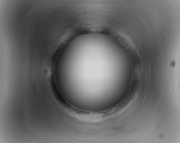 X0000102540032200808151653