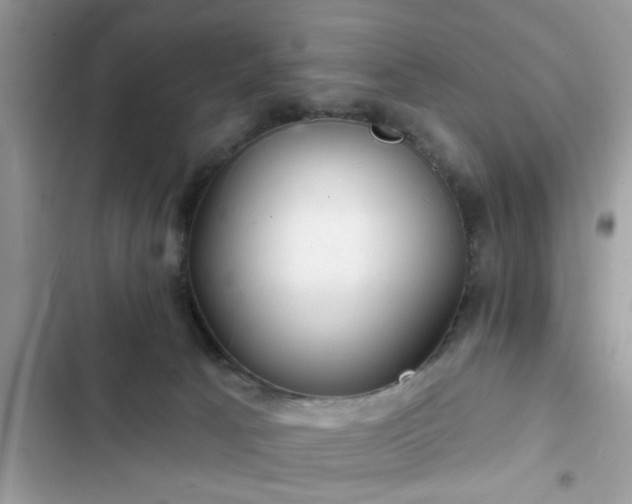 X0000102540033200808151653