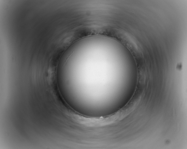 X0000102540034200808151653