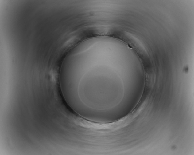X0000102540035200808151653