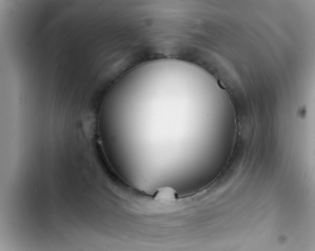 X0000102540036200808151653
