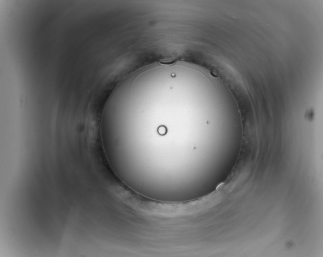 X0000102540037200808151653
