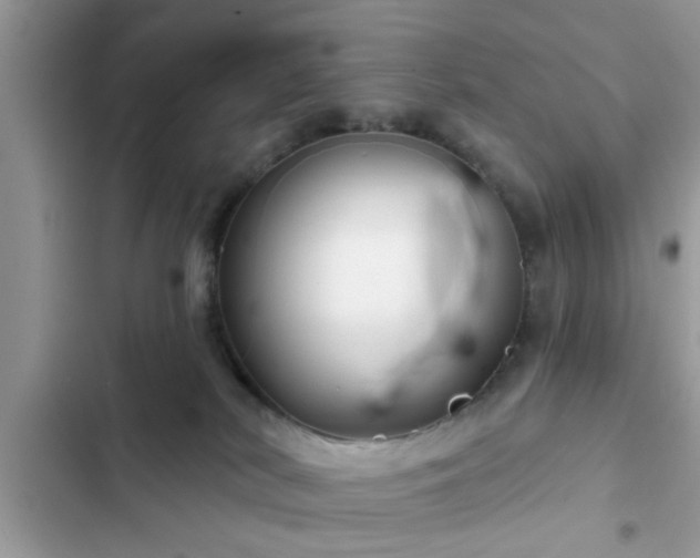 X0000102540038200808151653