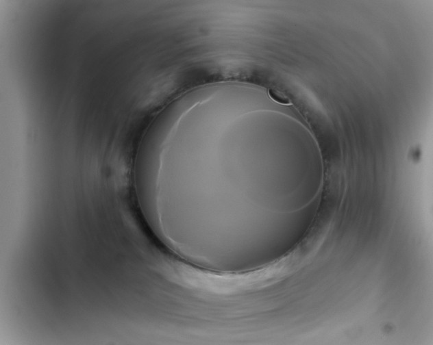 X0000102540039200808151653