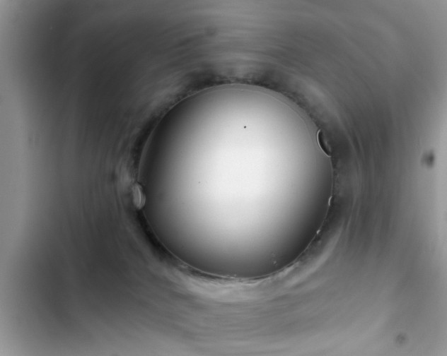 X0000102540040200808151653