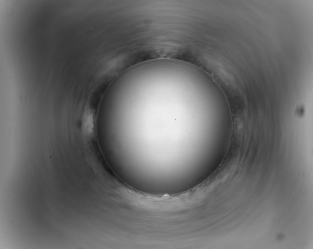 X0000102540042200808151653