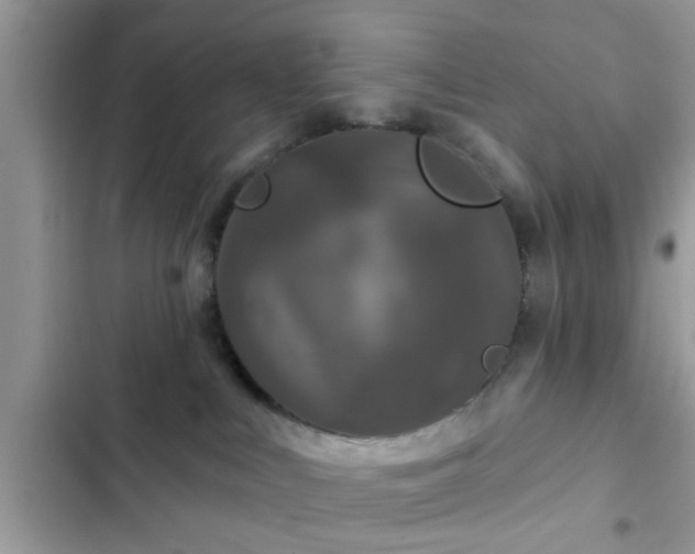 X0000102540043200808151653