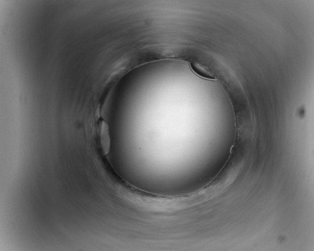 X0000102540044200808151653