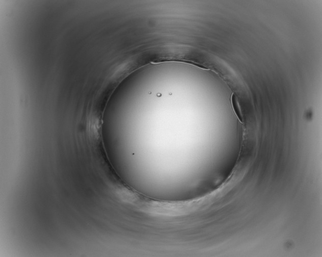 X0000102540045200808151653