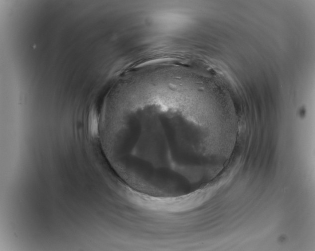 X0000102540046200808151653