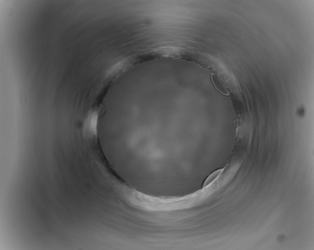 X0000102540047200808151652