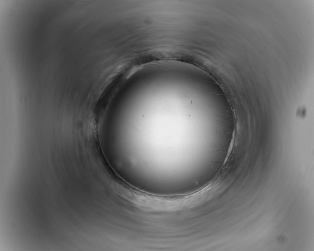 X0000102540048200808151652