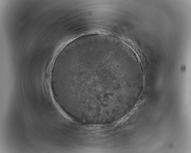 X0000102540049200808151652