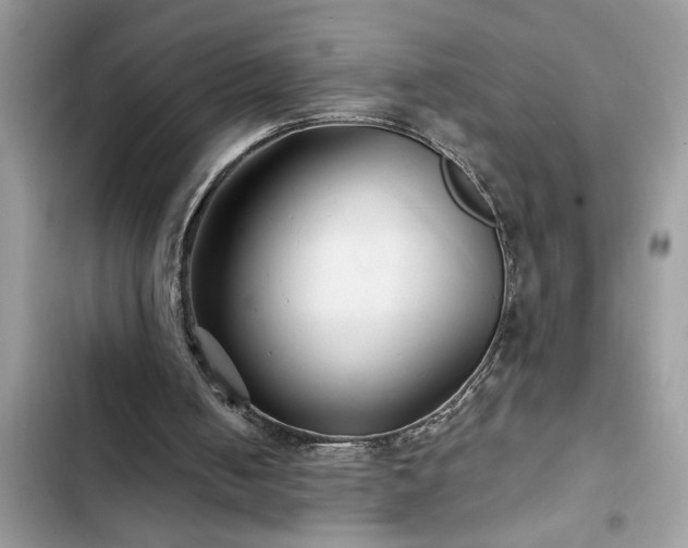 X0000102540050200808151652