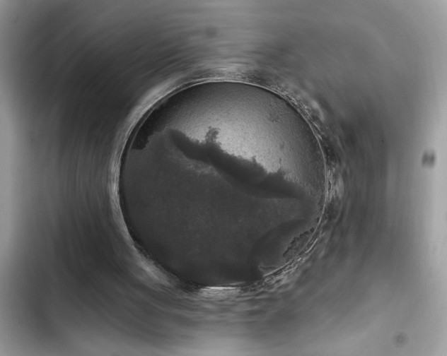 X0000102540051200808151652